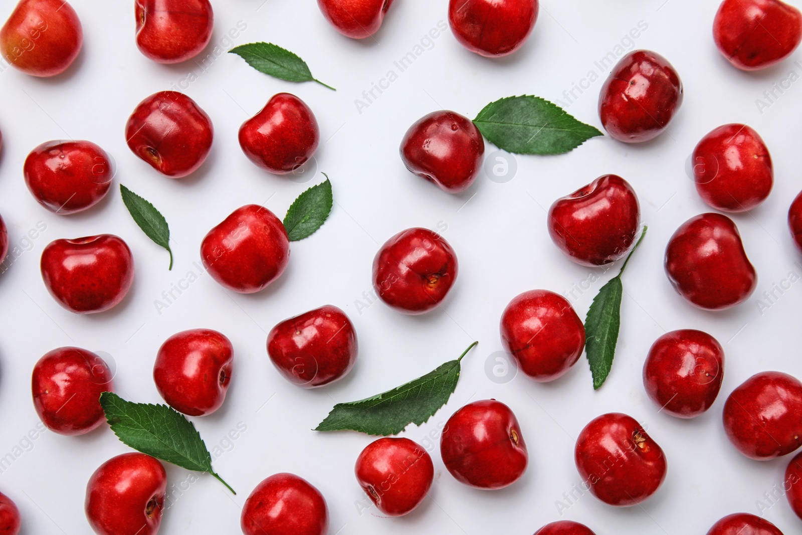 Photo of Sweet red cherries and leaves on white background