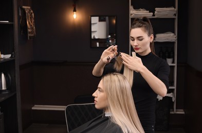 Photo of Professional hairdresser cutting woman's hair in salon, space for text