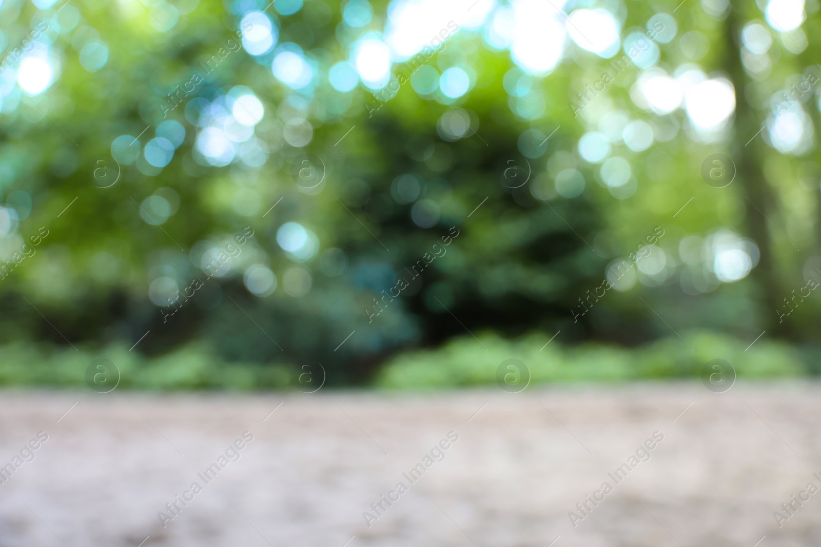 Photo of Blurred view of green trees in forest