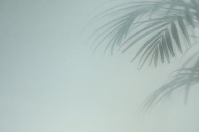 Photo of Shadow of tropical plant leaves on light background, space for text