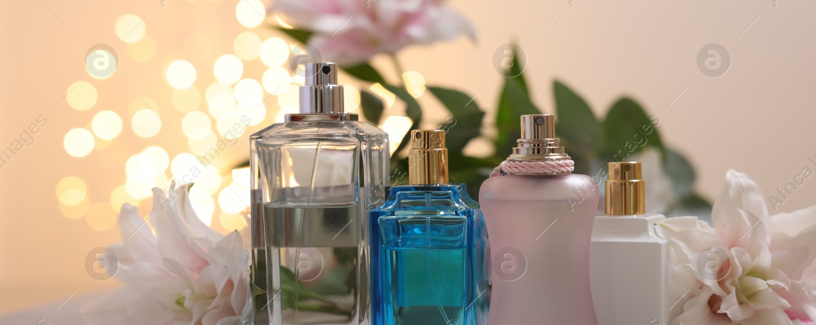 Photo of Bottles of perfume against beautiful lily flowers and blurred lights, closeup