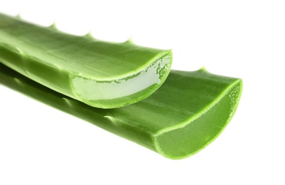 Fresh aloe vera leaves on white background