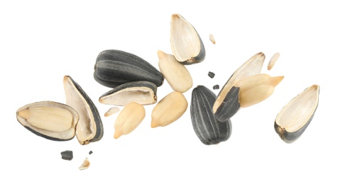 Image of Sunflower seeds with hull flying on white background. Banner design