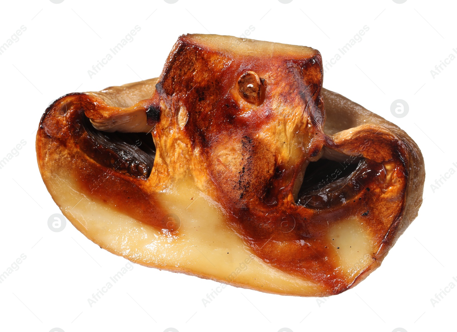 Photo of Slice of grilled mushroom isolated on white