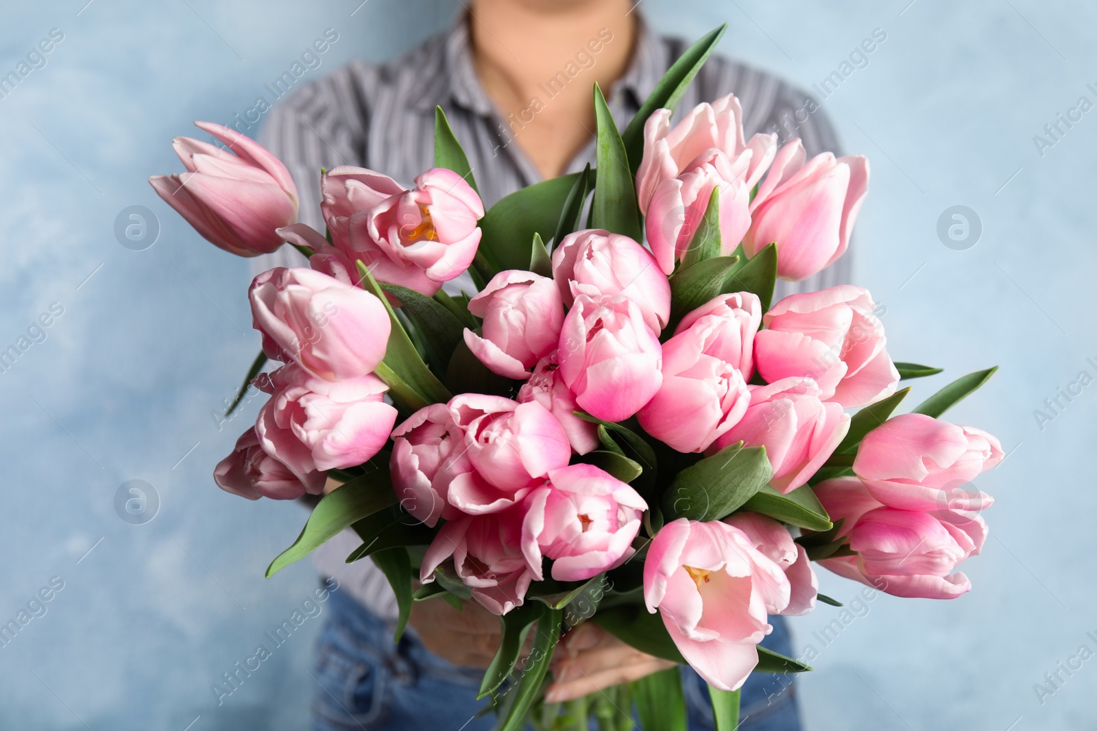 Photo of Woman with beautiful pink spring tulips on light blue background, closeup