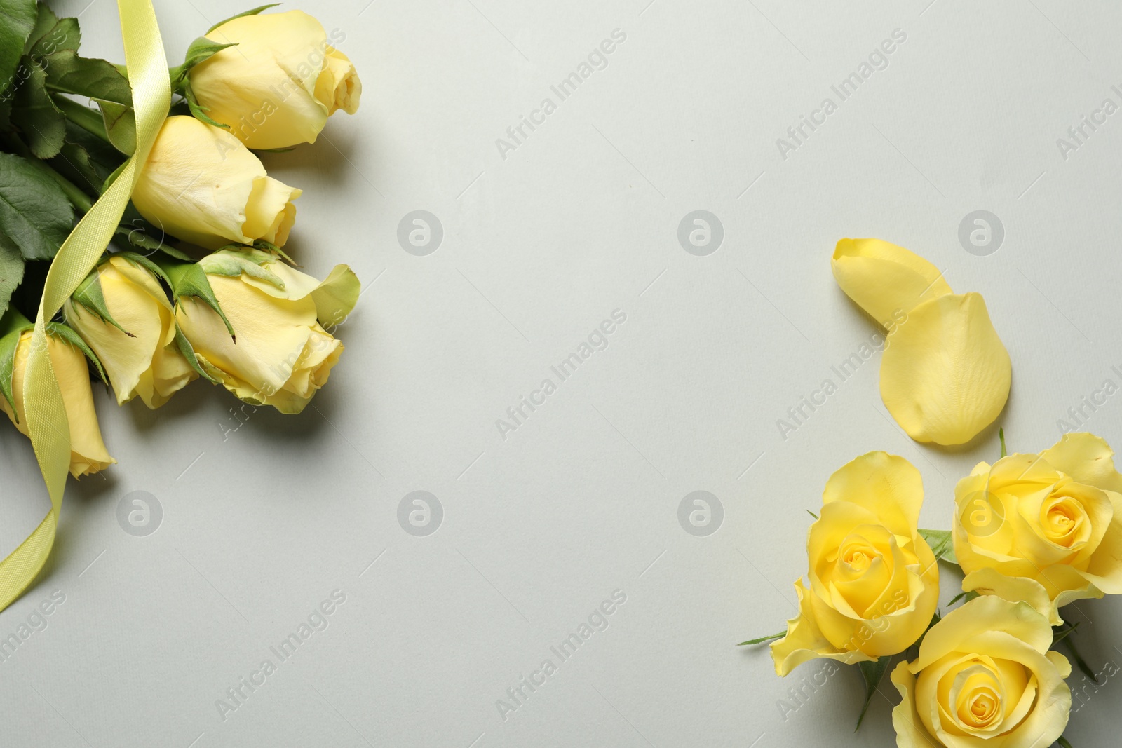 Photo of Beautiful yellow roses, petals and ribbon on light grey background, flat lay. Space for text