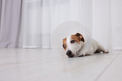 Cute Jack Russell Terrier dog wearing medical plastic collar on floor indoors, space for text