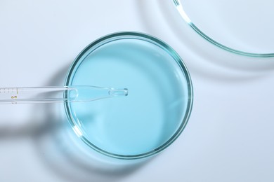 Pipette and petri dishes with liquid on white table, flat lay