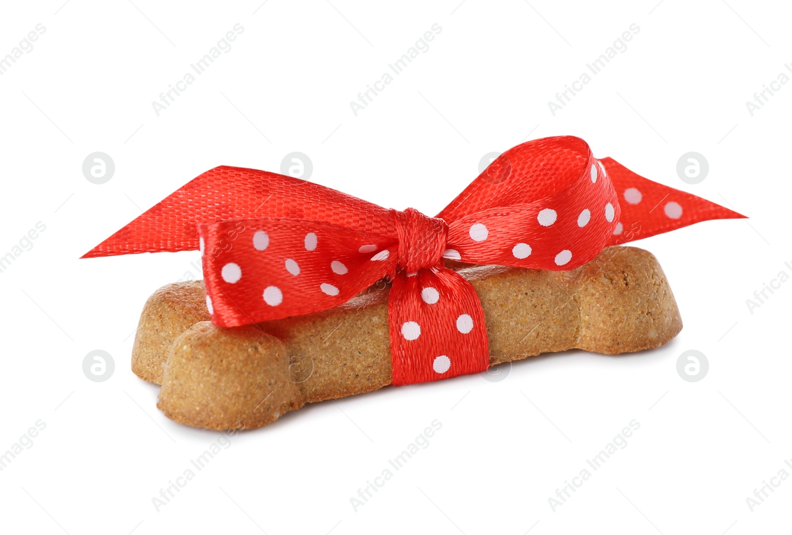 Photo of Bone shaped dog cookie with red bow isolated on white