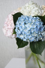 Beautiful hydrangea flowers in vase on white table against light gray wall