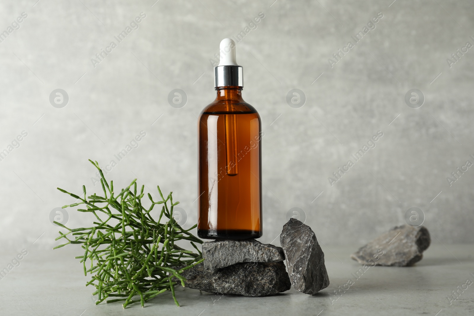 Photo of Bottle of hydrophilic oil, rocks and green plant on light grey table