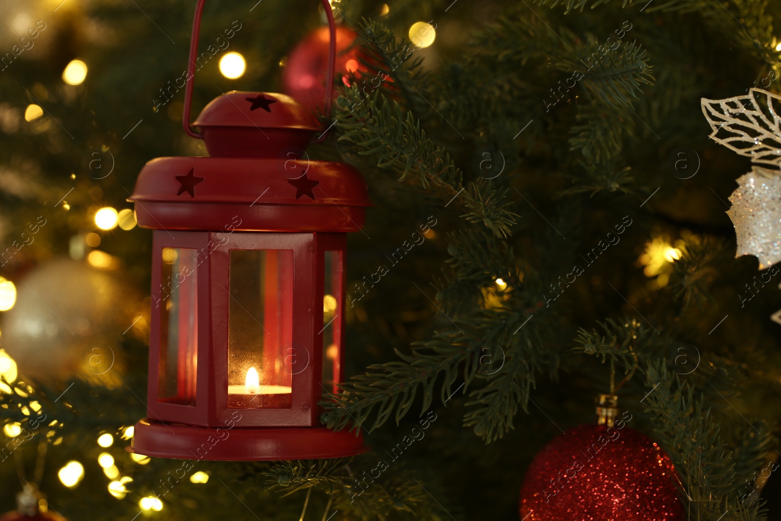Photo of Christmas lantern with burning candle on fir tree as background, closeup