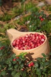 Many ripe lingonberries in wooden cup outdoors