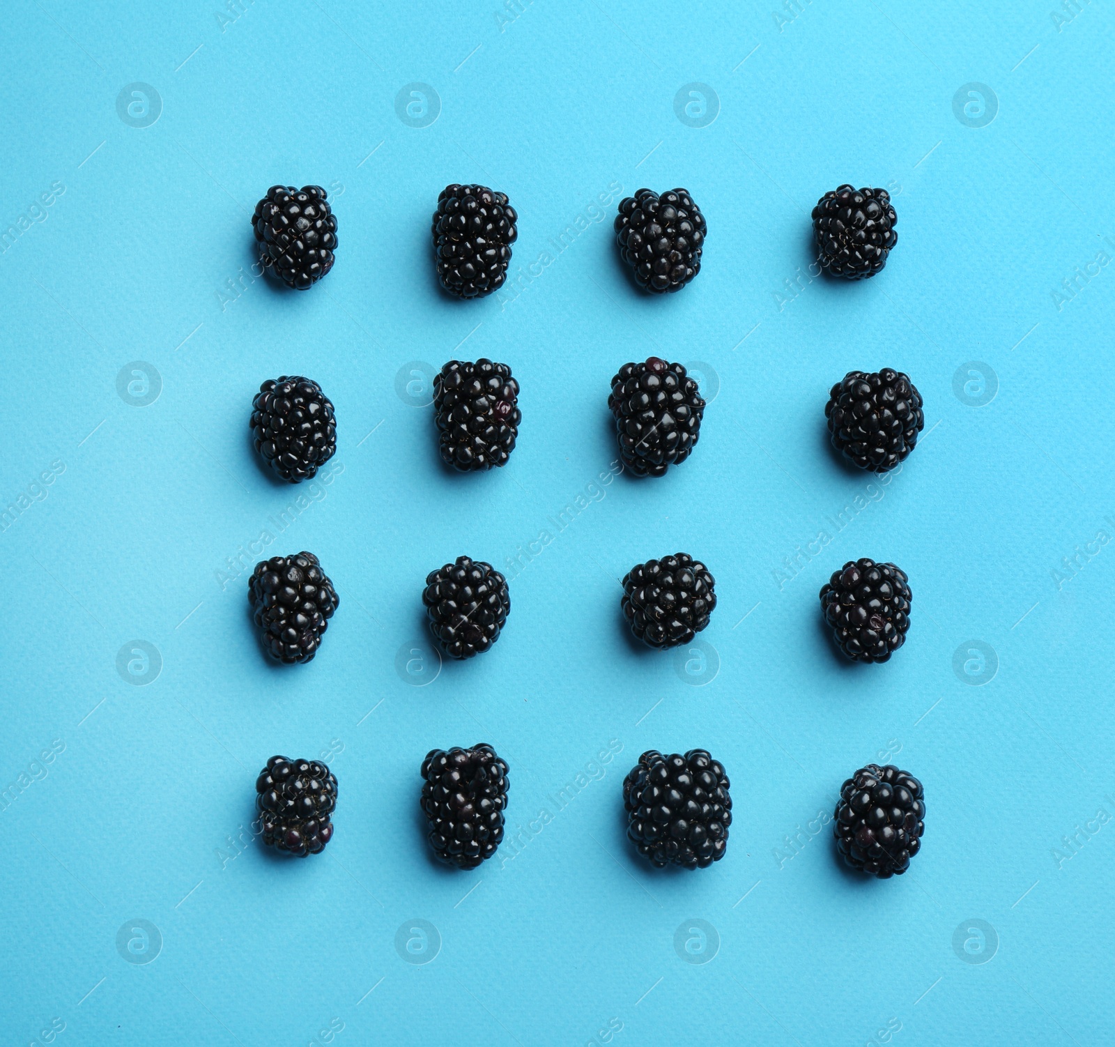 Photo of Fresh ripe blackberries on blue background, flat lay