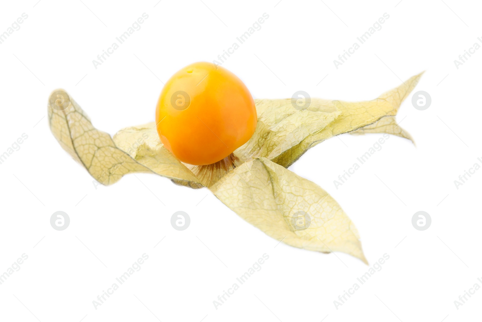 Photo of Ripe physalis fruit with calyx isolated on white