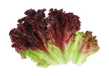 Photo of Leaves of fresh red coral lettuce isolated on white