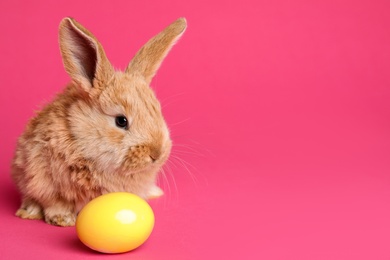 Adorable furry Easter bunny and dyed egg on color background, space for text