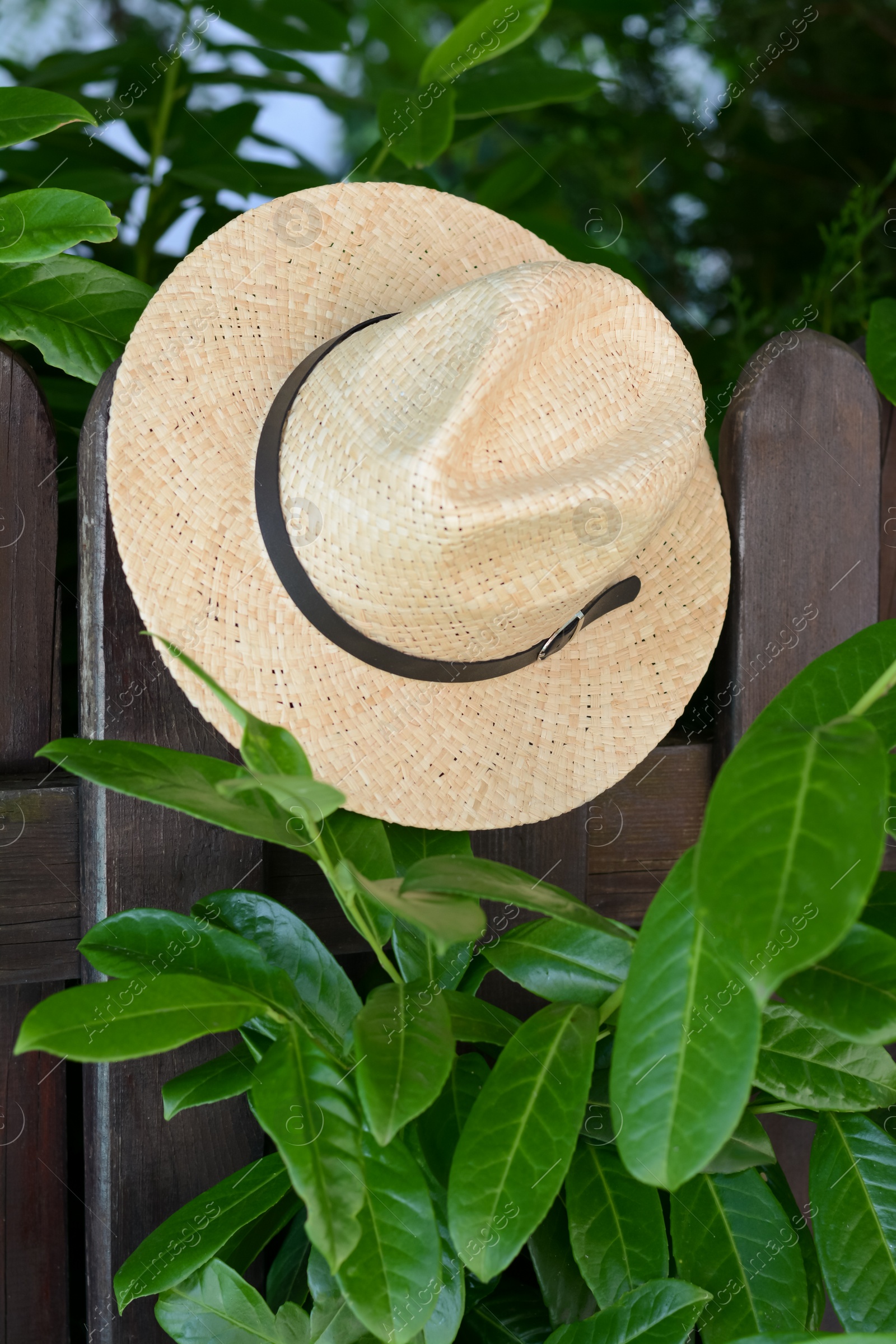 Photo of Stylish hat hanging on wooden fence. Beach accessory