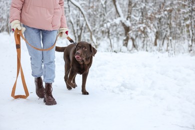 Woman walking with adorable Labrador Retriever dog in snowy park, closeup. Space for text