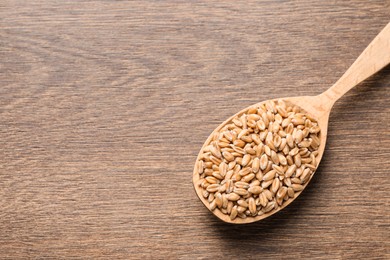 Photo of Wheat grains in spoon on wooden table, top view. Space for text