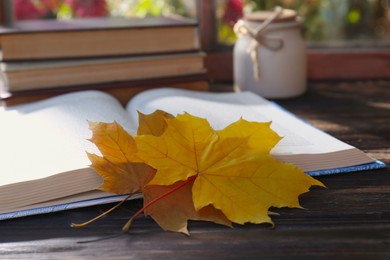 Photo of Book and beautiful leaves as bookmark on wooden table, closeup