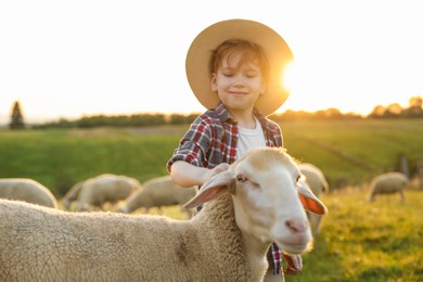 Photo of Boy stroking sheep on pasture. Farm animals