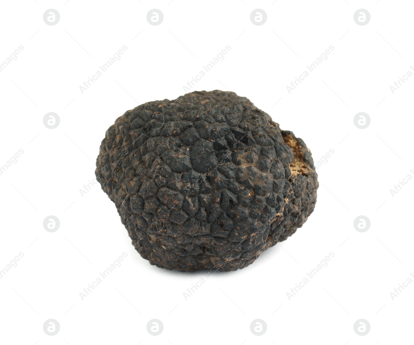 Photo of One whole black truffle isolated on white