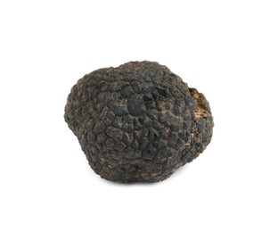 Photo of One whole black truffle isolated on white