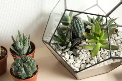 Photo of Different succulent plants on table near white wall. Home decor