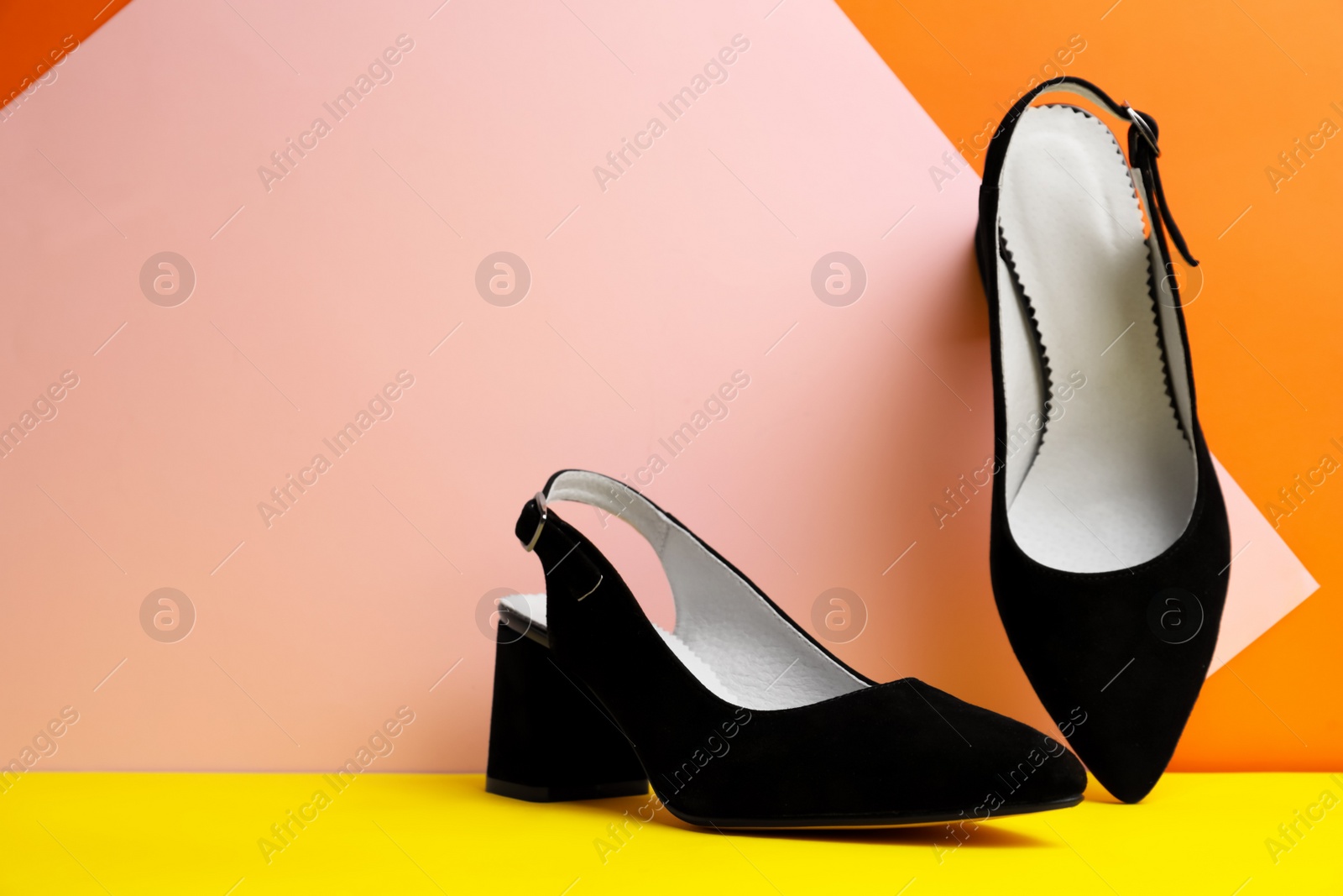 Photo of Stylish black female shoes on color background. Space for text