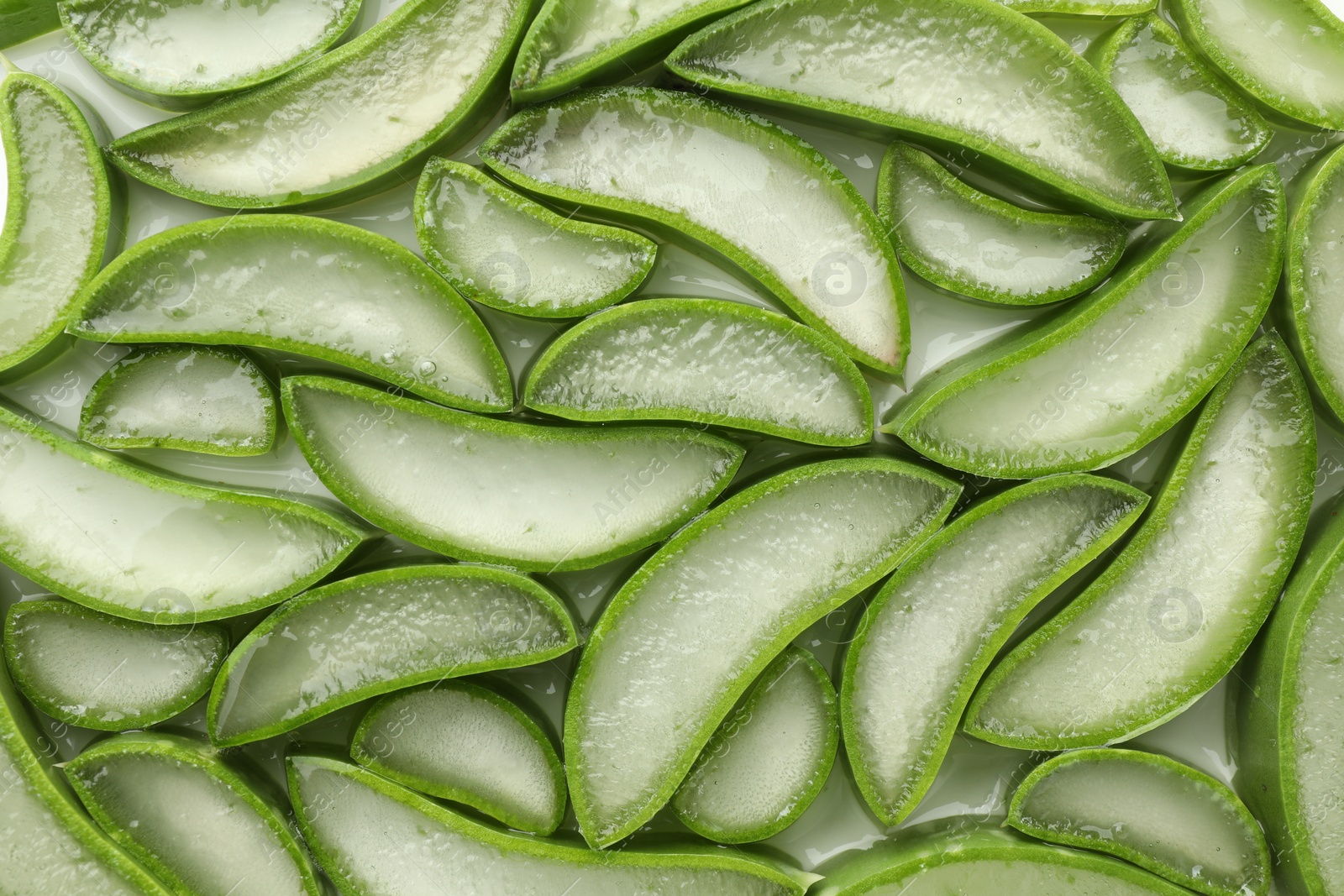 Photo of Fresh aloe vera slices as background, top view
