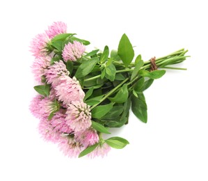 Photo of Bouquet of beautiful blooming clover flowers on white background