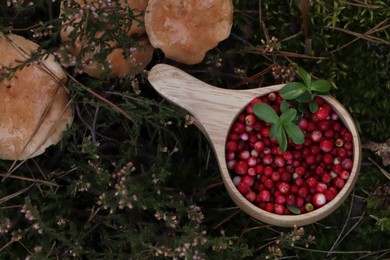 Photo of Many ripe lingonberries in wooden cup near mushrooms outdoors, top view