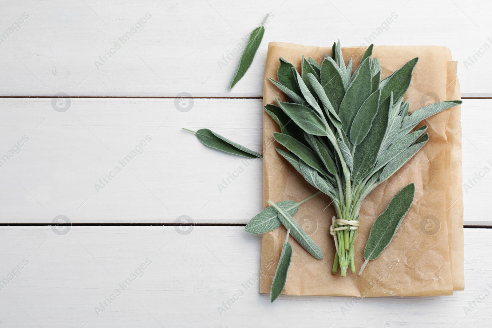 Photo of Bunch of fresh green sage with parchment on white wooden table, flat lay. Space for text