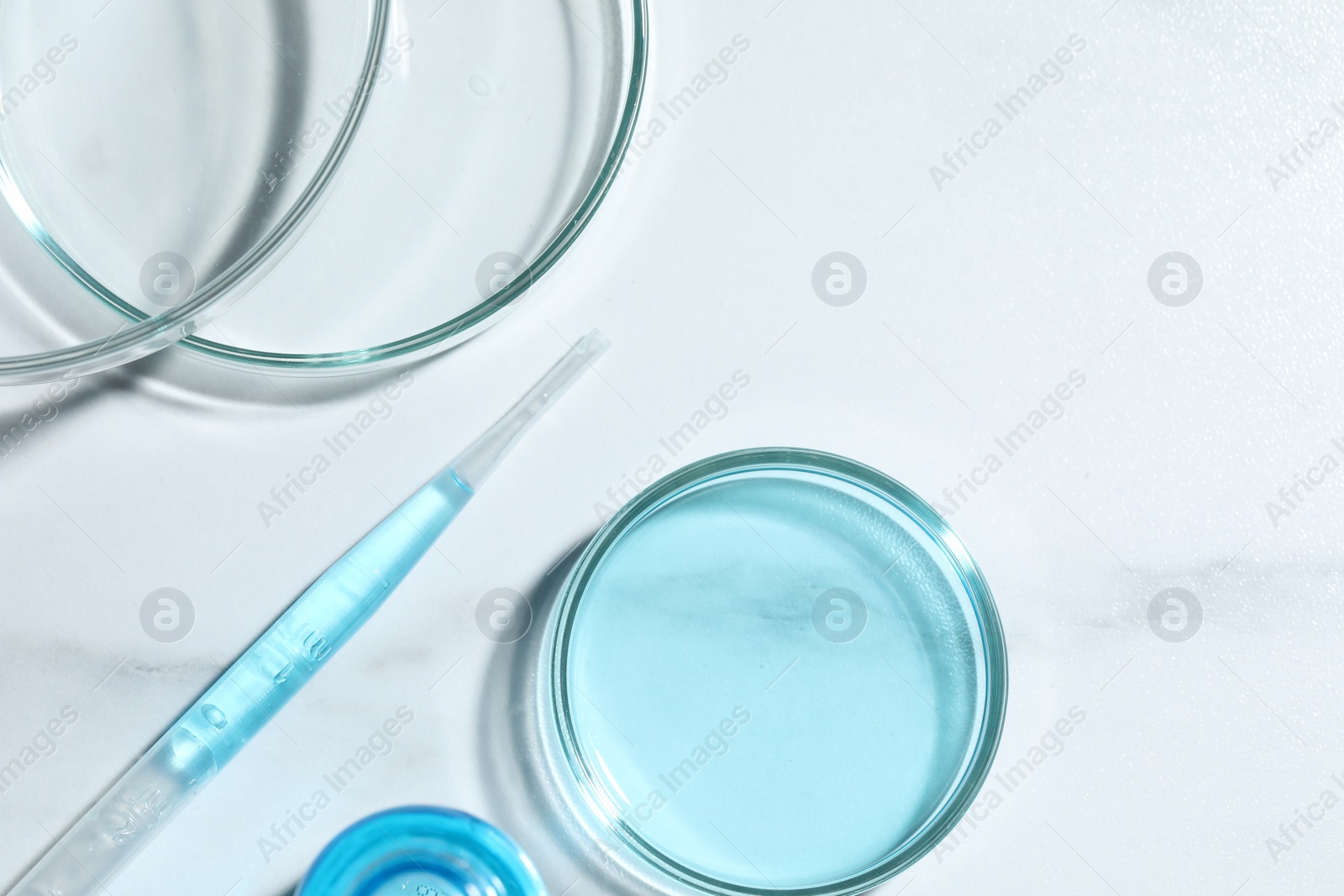 Photo of Pipette and petri dishes with liquid on white marble table, flat lay