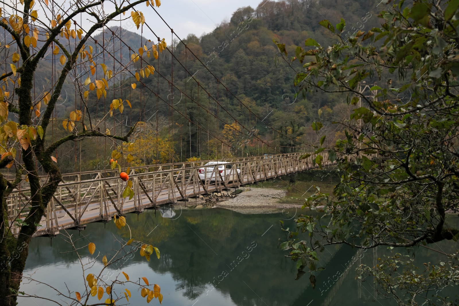 Photo of Picturesque view of beautiful bridge over river and trees in mountains