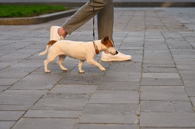 Photo of Man with adorable Jack Russell Terrier on city street, closeup. Dog walking