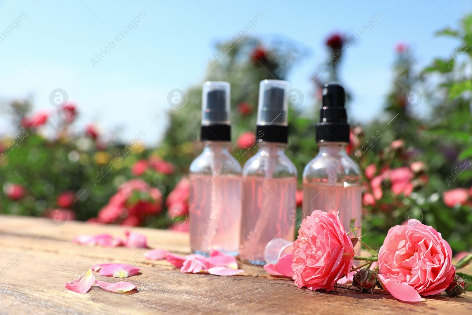Photo of Bottles of facial toner with essential oil and fresh roses on wooden table against blurred background