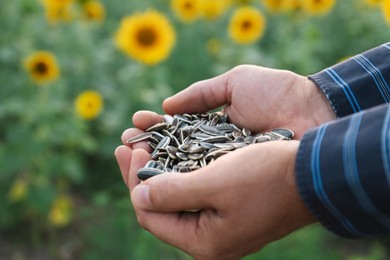 Photo of Man holding heap of sunflower seeds in field, closeup