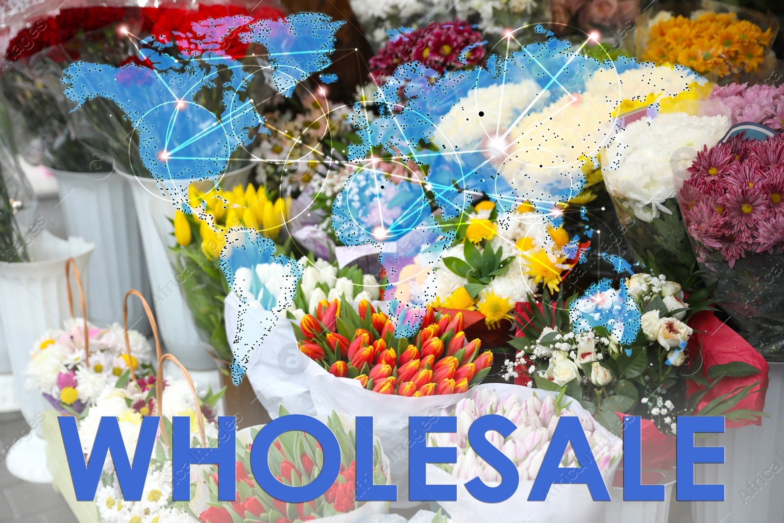 Image of Wholesale business. World map and assortment of flowers on background