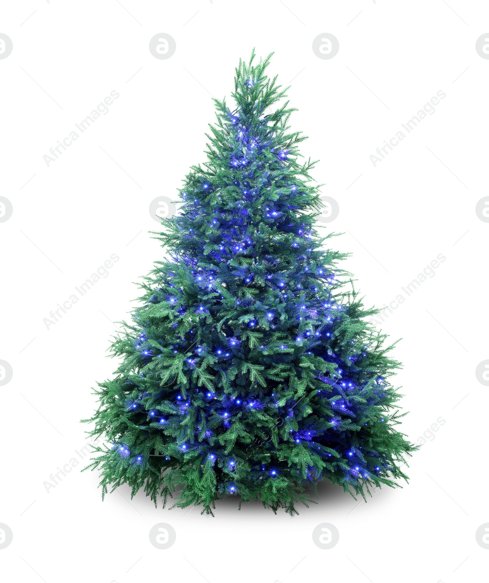 Photo of Beautiful Christmas tree with festive lights isolated on white