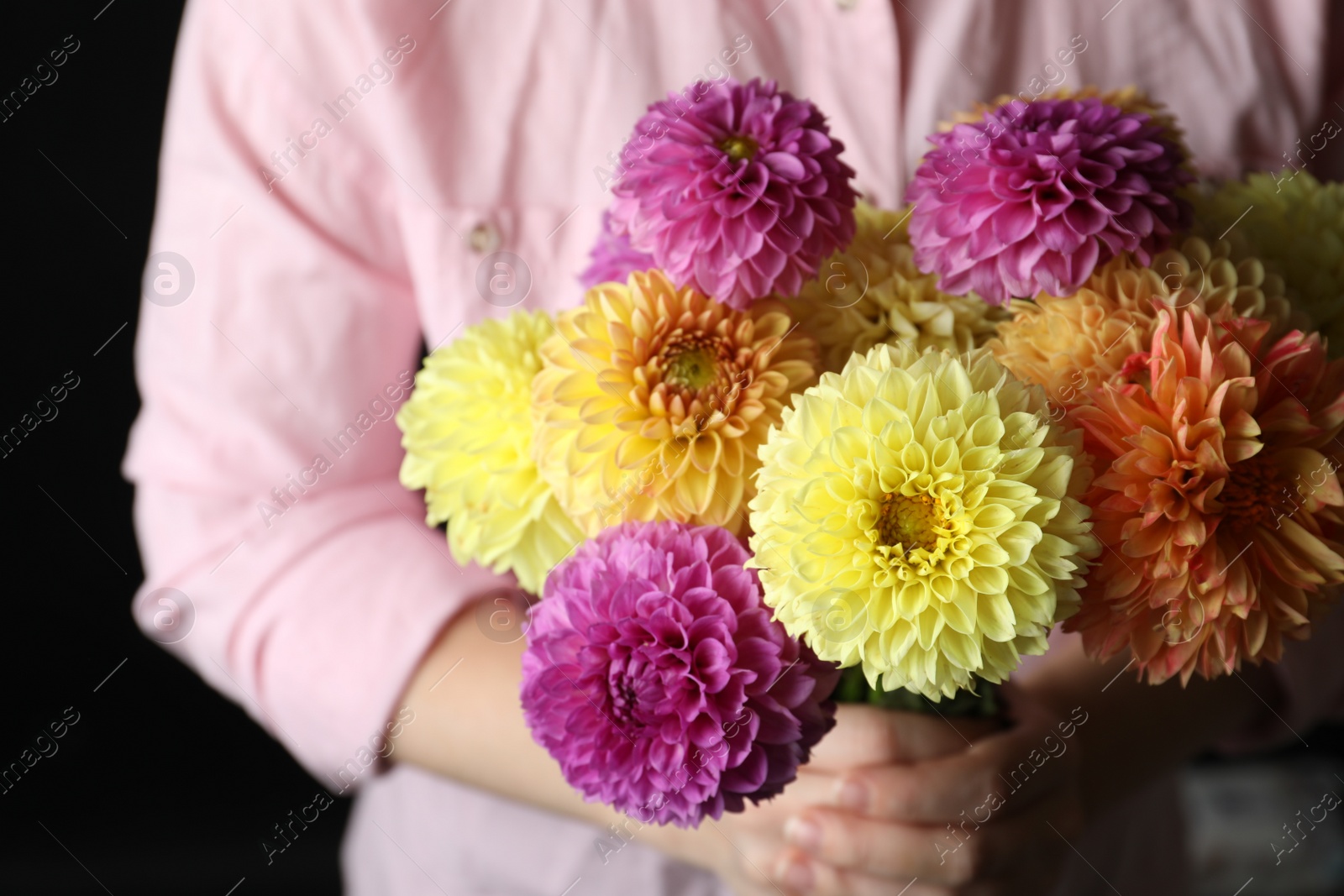 Photo of Woman with bouquet of beautiful dahlia flowers on black background, closeup
