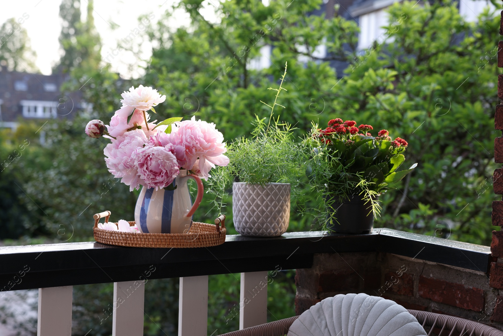 Photo of Balcony garden. Different plants growing on railings outdoors