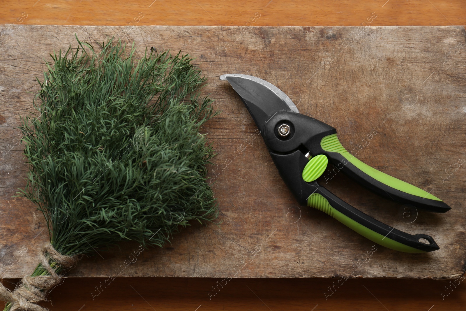 Photo of Secateur and bunch of green herb on wooden table, top view