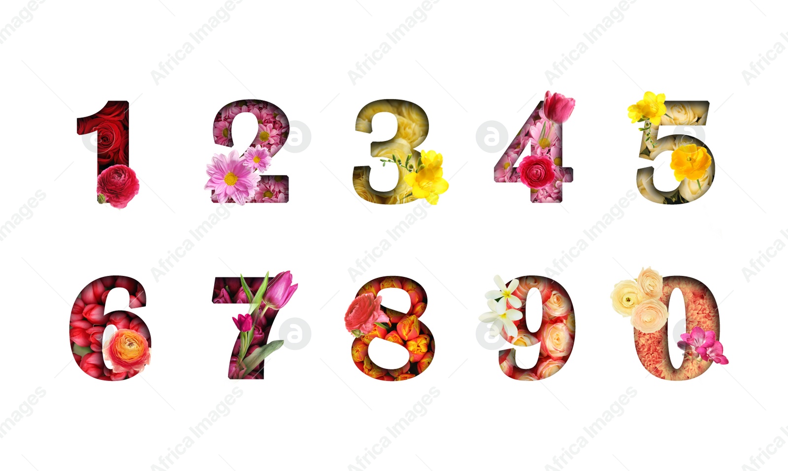 Image of Numbers made of flowers on white background