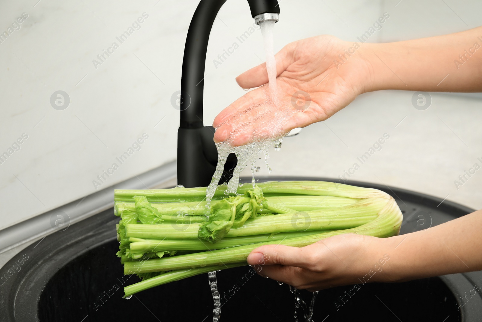 Photo of Woman washing fresh green celery in kitchen sink, closeup