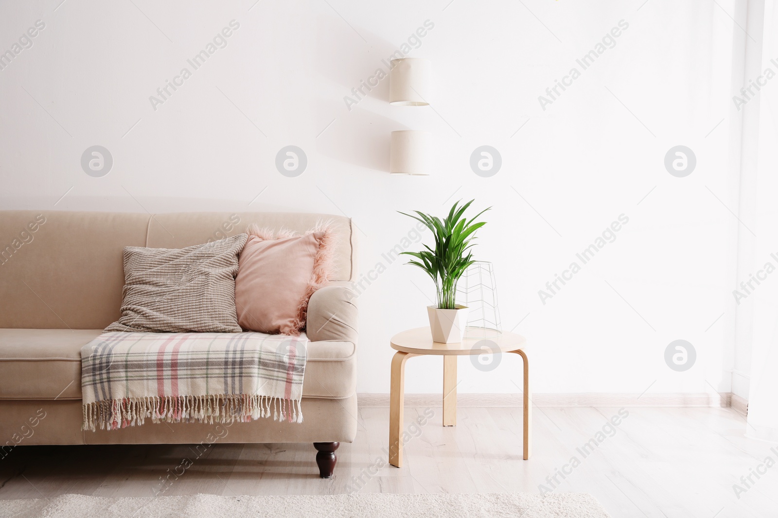 Photo of Modern living room interior with comfortable sofa. Space for text