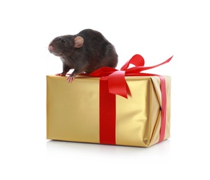 Cute little rat and gift box on white background. Chinese New Year symbol