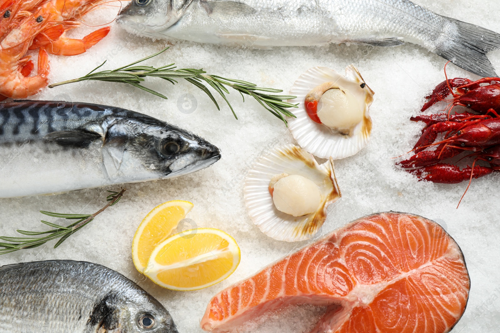 Photo of Fresh fish and seafood on ice, flat lay