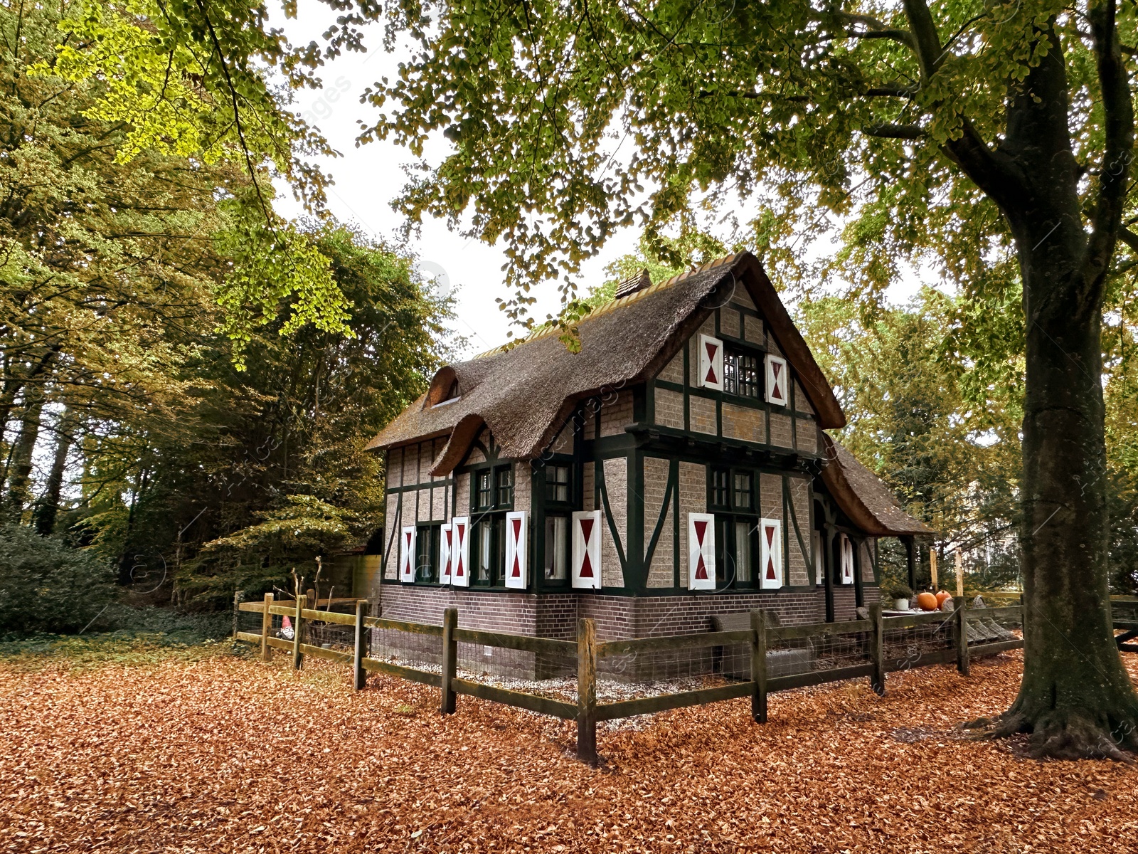 Photo of Beautiful grey house among trees in autumn park